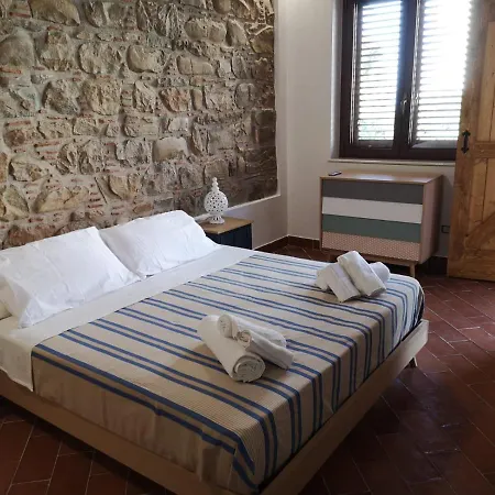 Apartman Ficodindia & *